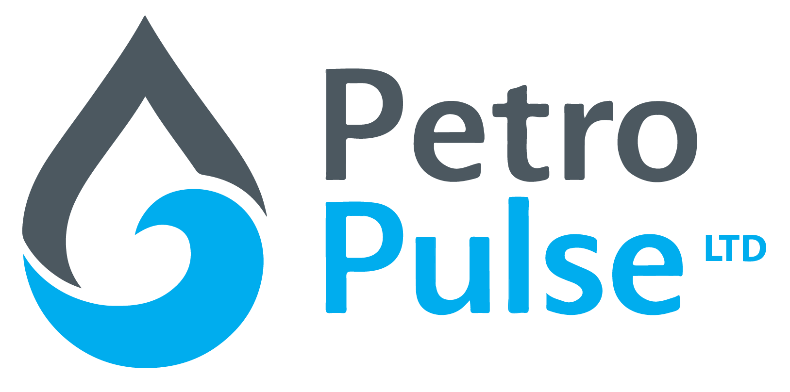 petro-pulse.com